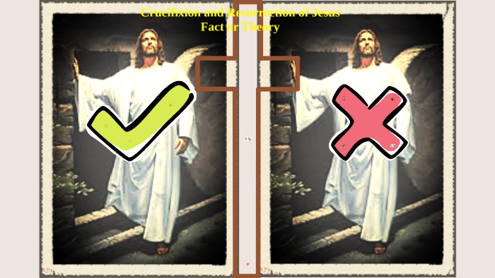 Display: Brighter and More Efficient